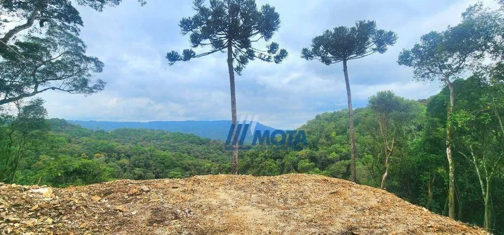 Ara para chácara Campo Largo com 21.796,00m2 com linda vista panorâmica para serra do São  - Foto 6