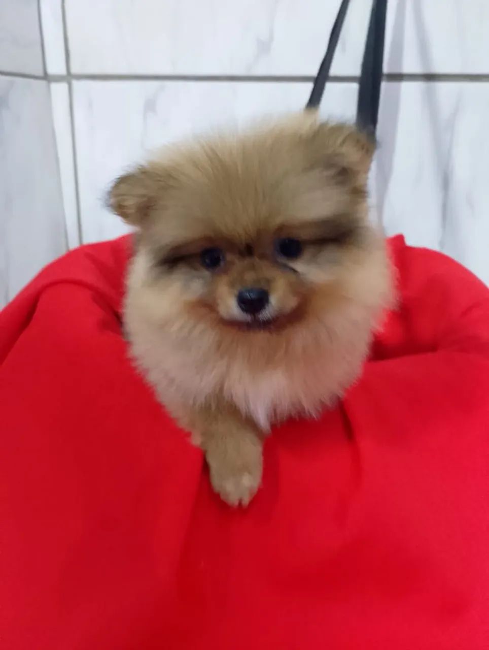Que bebê lindo ? - Foto 3