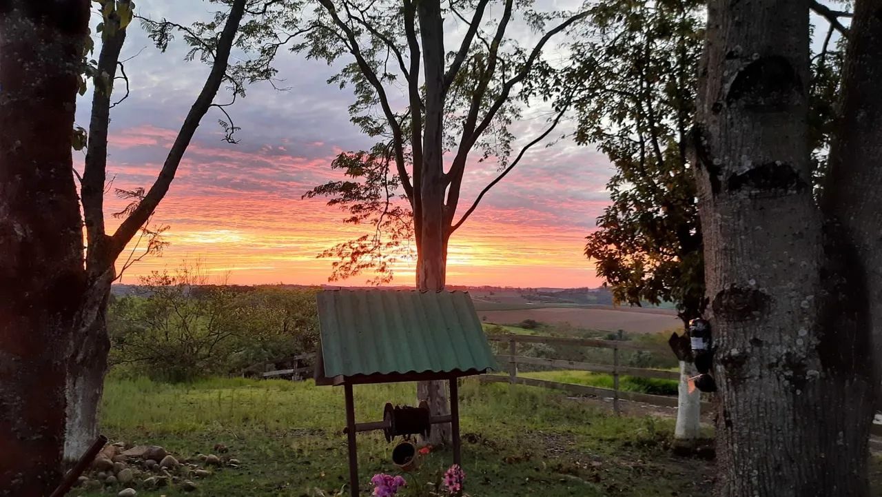 Alugo sítio - Foto 3