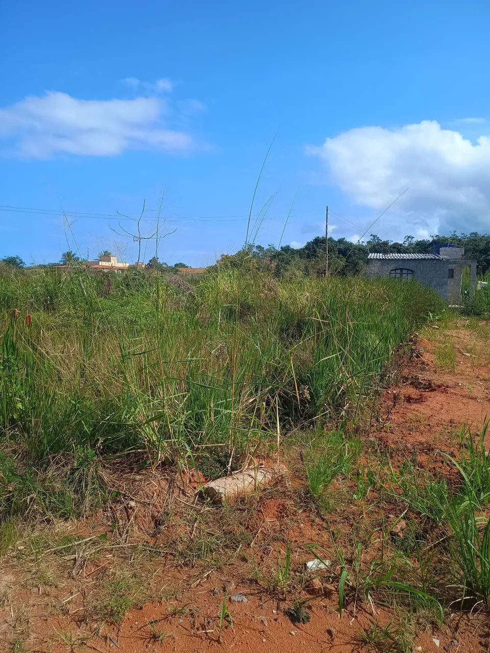Vende-se terreno em Jaconé  - Foto 5