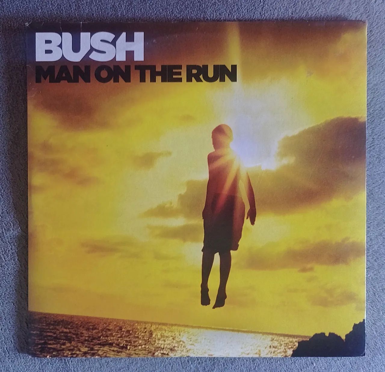 LP vinil Bush - Man on The run - Duplo - Frete grátis 
