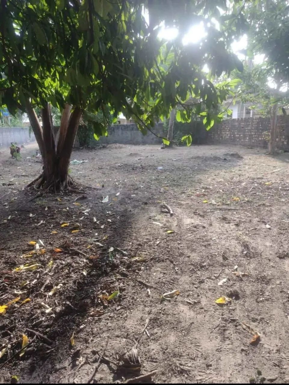 Terreno em Soure/PA - Foto 2
