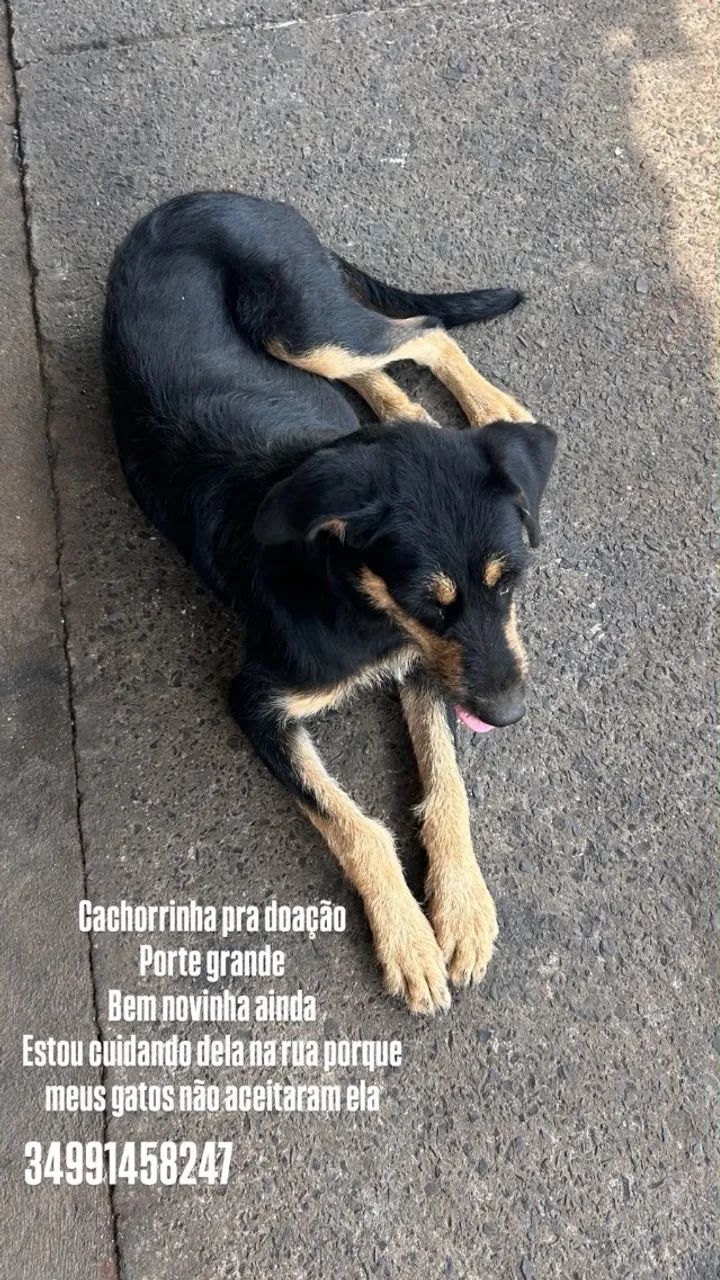 Doa se 
