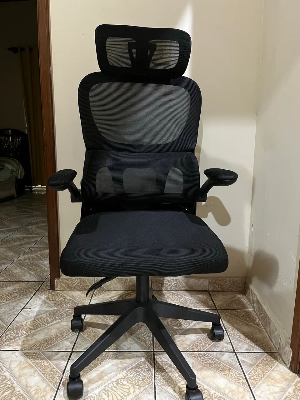 Cadeira Ergonômica 