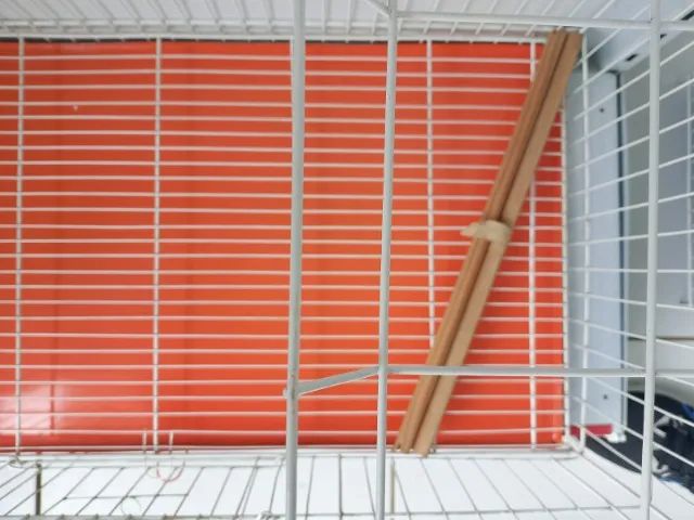 GAIOLA CALOPSITA - Foto 2