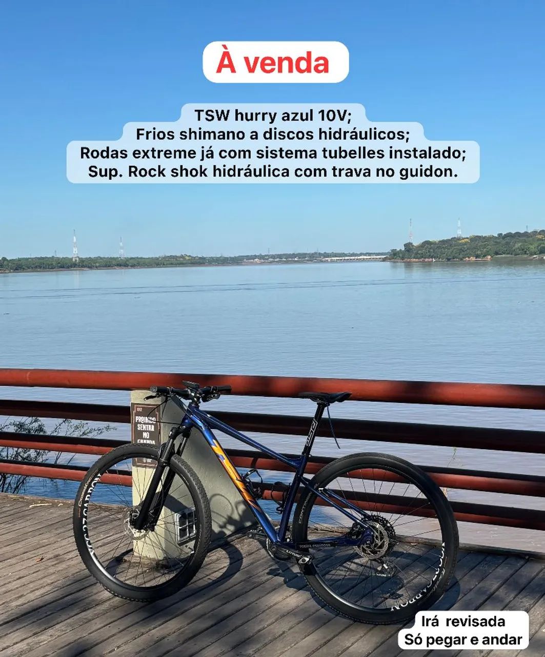 Bike 29