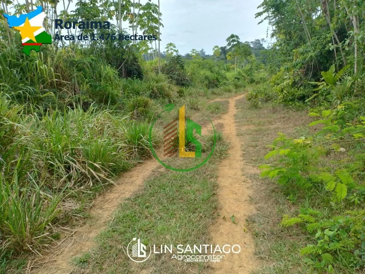 Vendo 9 Fazendas  - Foto 2