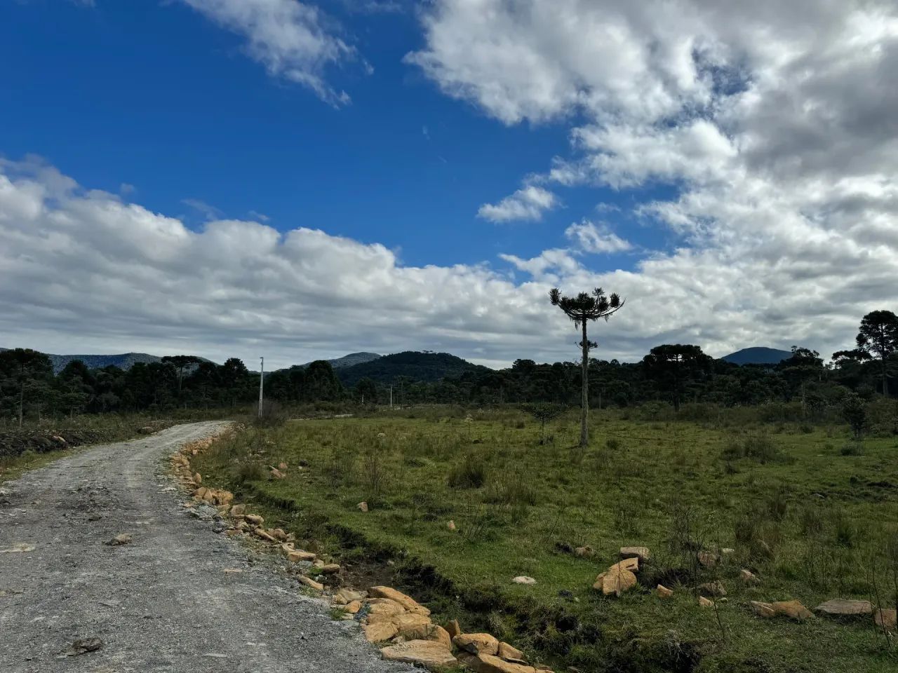 Imóvel para venda 2 hectares na Serra Catarinense