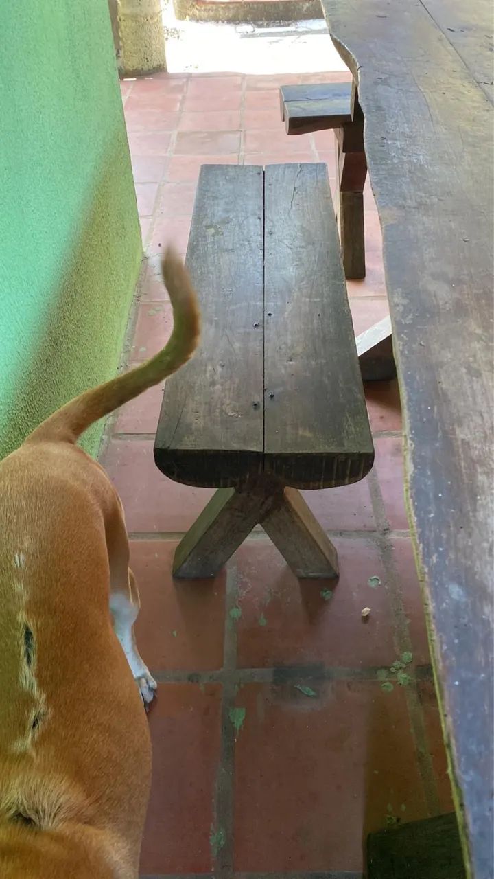 Sofa de tora de madeira 9 mil - Foto 3