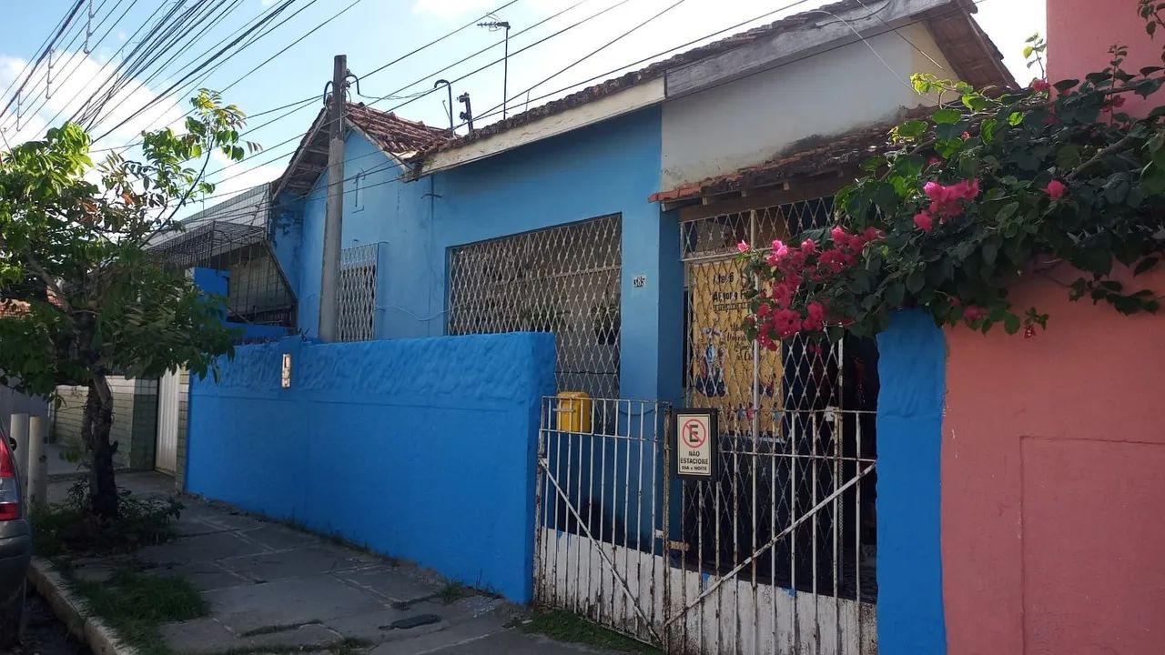 Foto - Paulista - Pau Amarelo