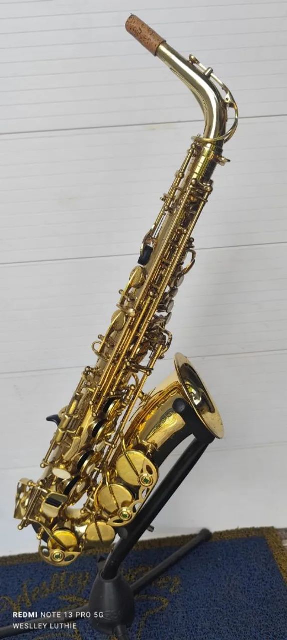 SAXFONE EAGLE    - Foto 3