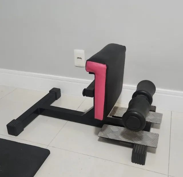Sissy Squat e Rodinha Treino Abdominal