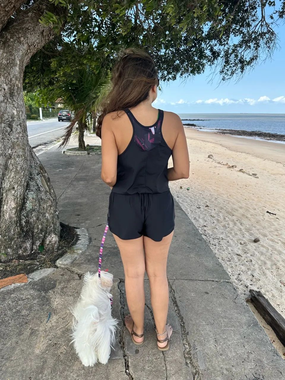 Macaquinho Academia - Foto 3