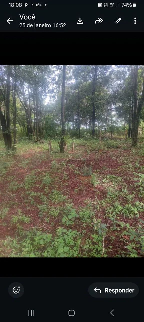 Vendo lote na reta2 250m - Foto 4