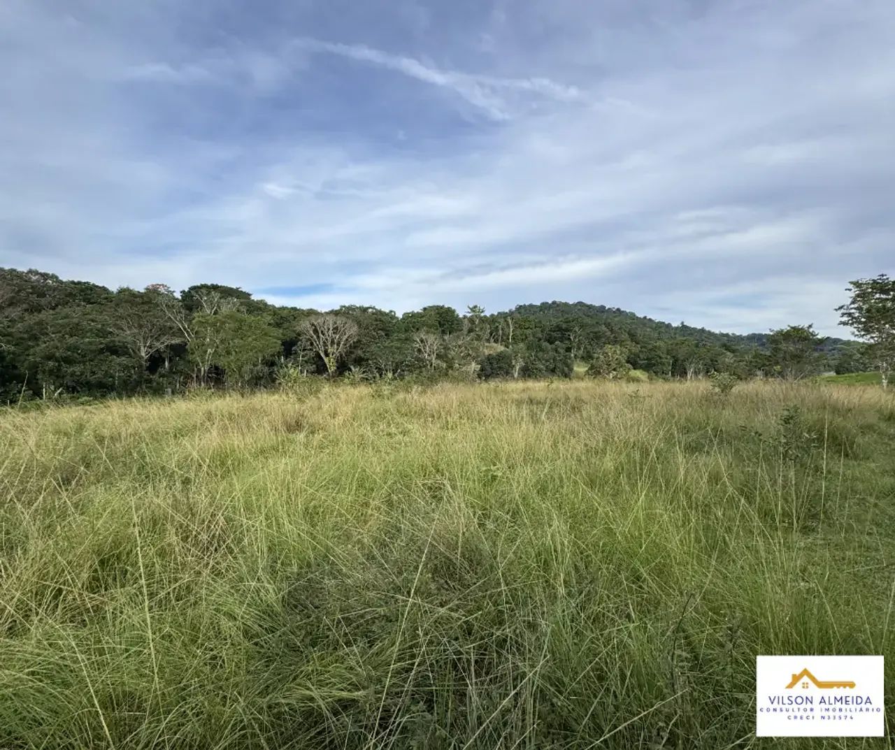 Áreas à venda, SERRA GRANDE, Uruçuca, BA - Foto 3