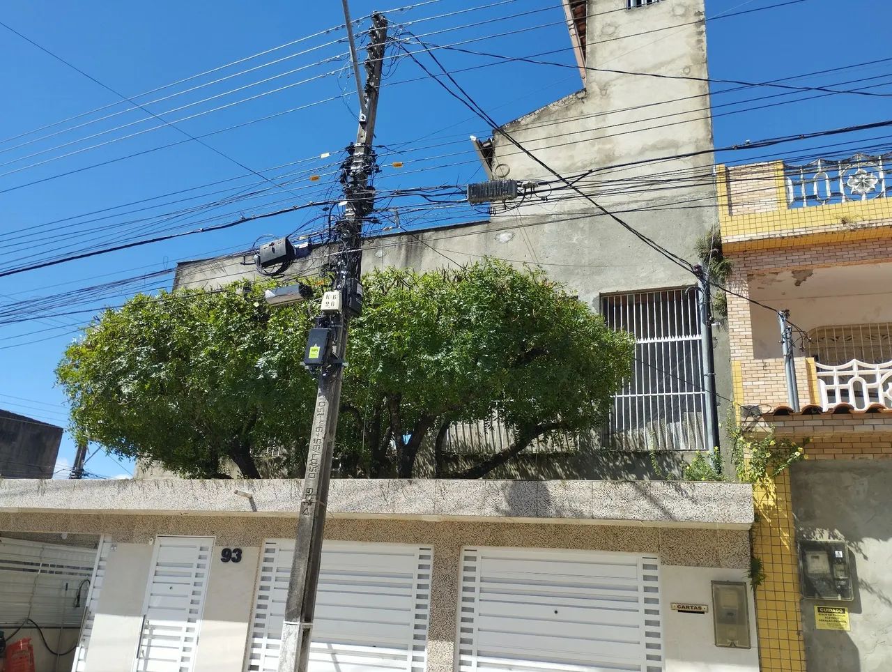 Jardinagem  - Foto 3