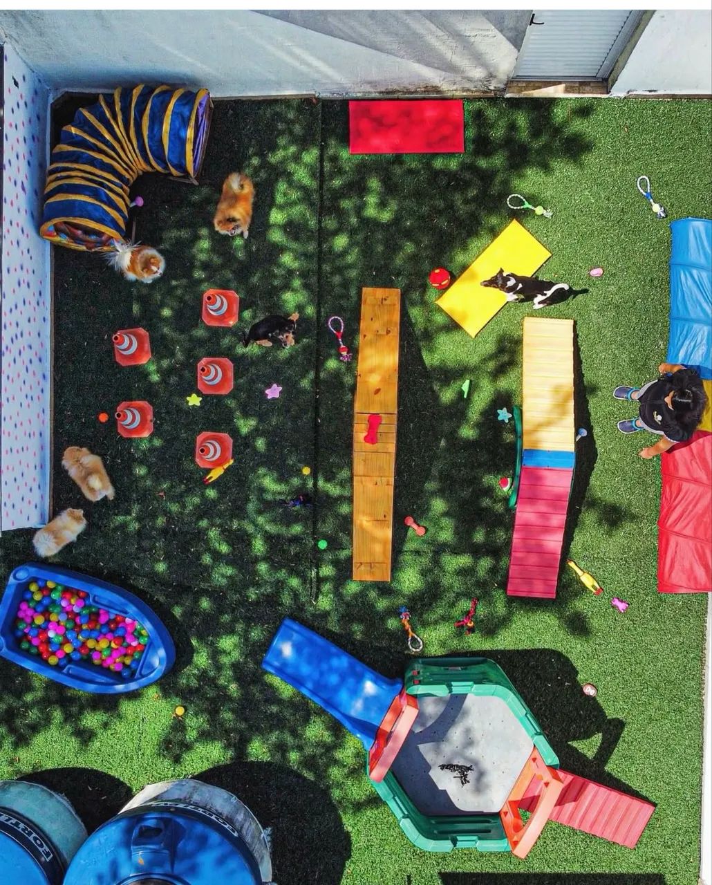 Playground pet  - Foto 2