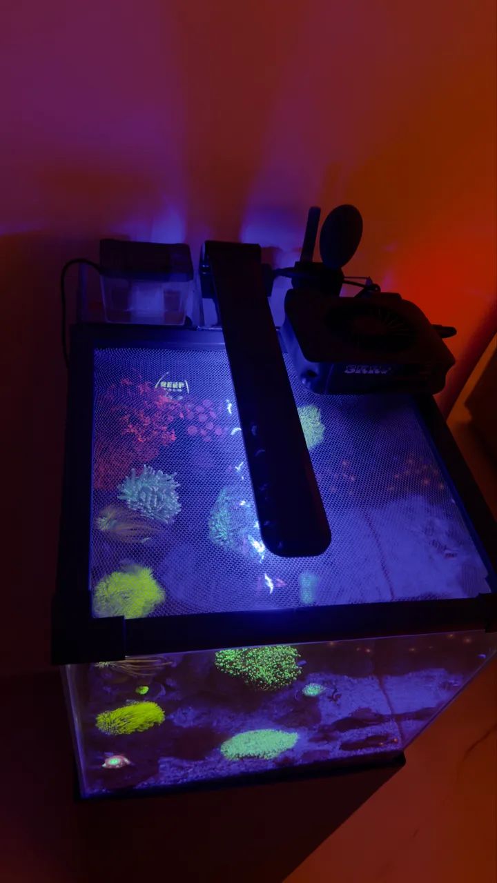 Luminária Nano Light - Ocean tech - Foto 5