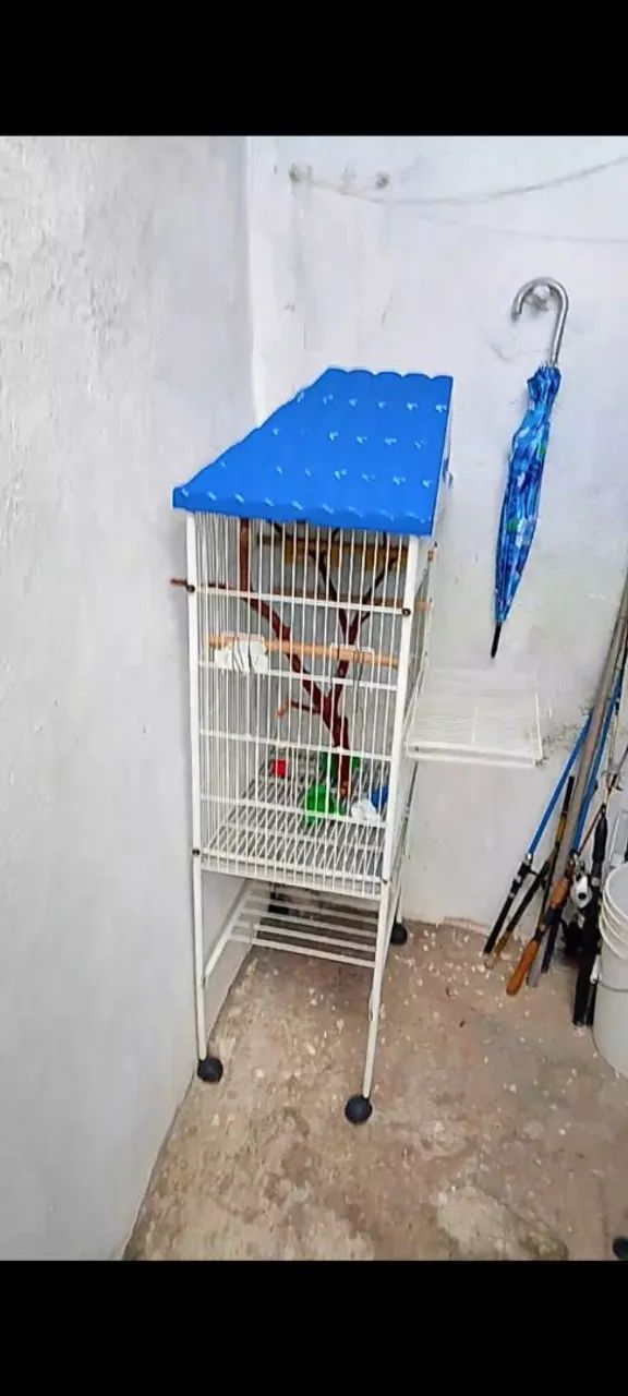 Vendo duas gaios em ótimo estado  - Foto 2