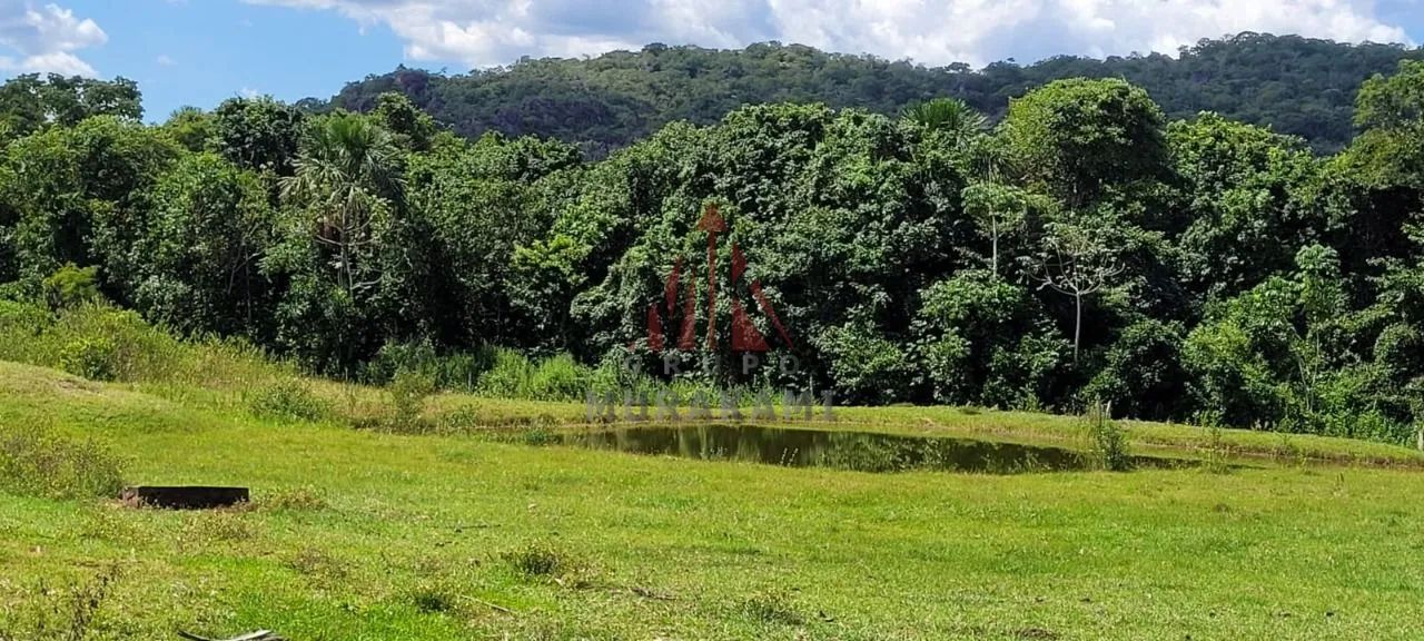 FAZENDA - SONORA - MS - Foto 5