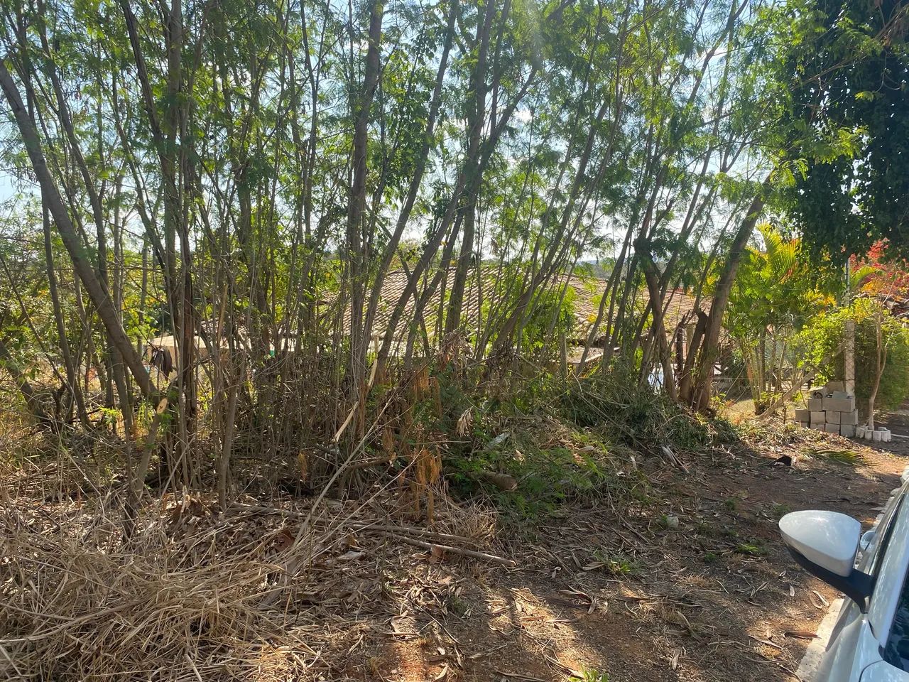 Lote 990 mt. Jacques Ville  - Foto 2