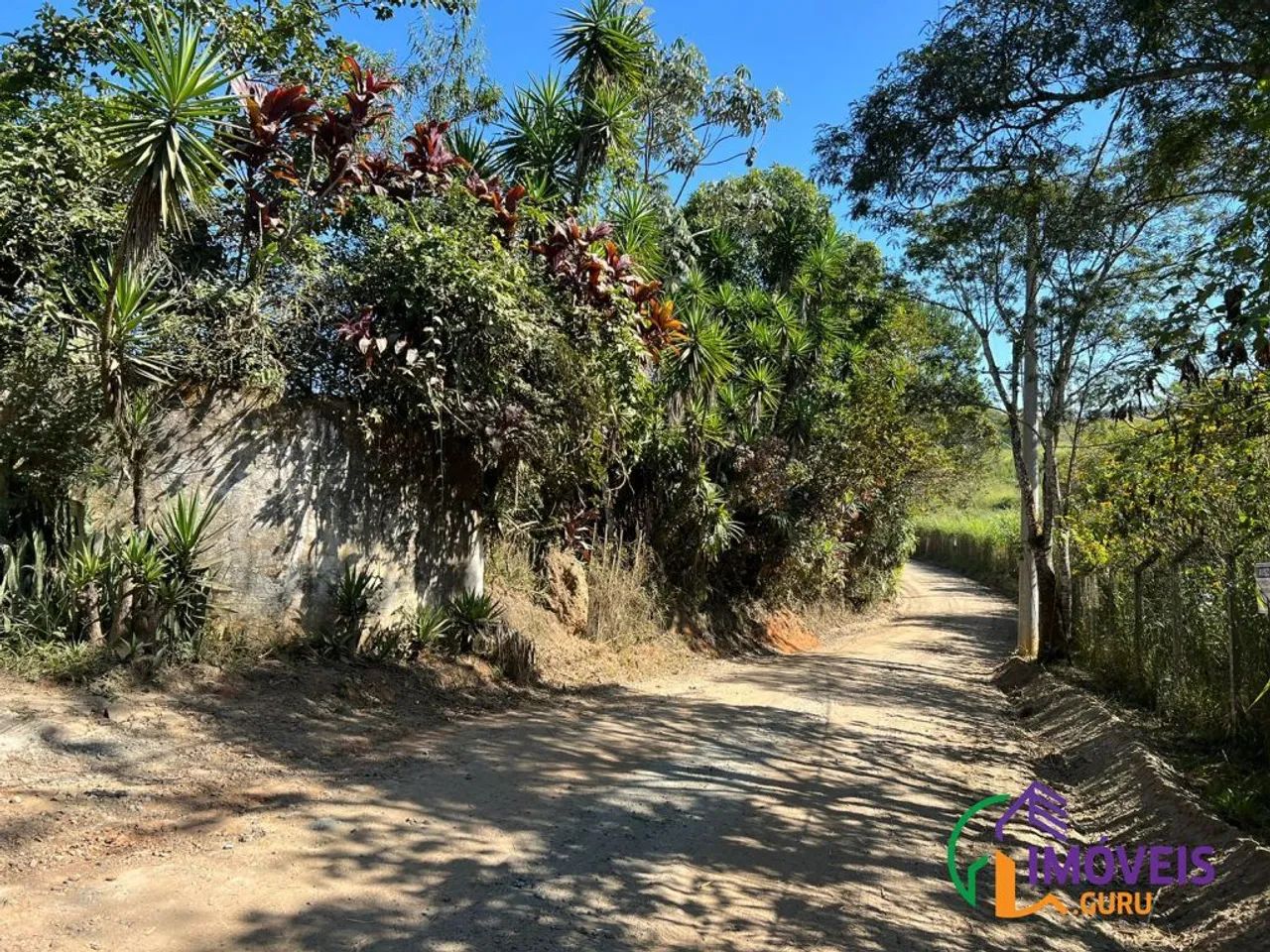AREA - PARQUE AGRINCO - SP - Foto 3