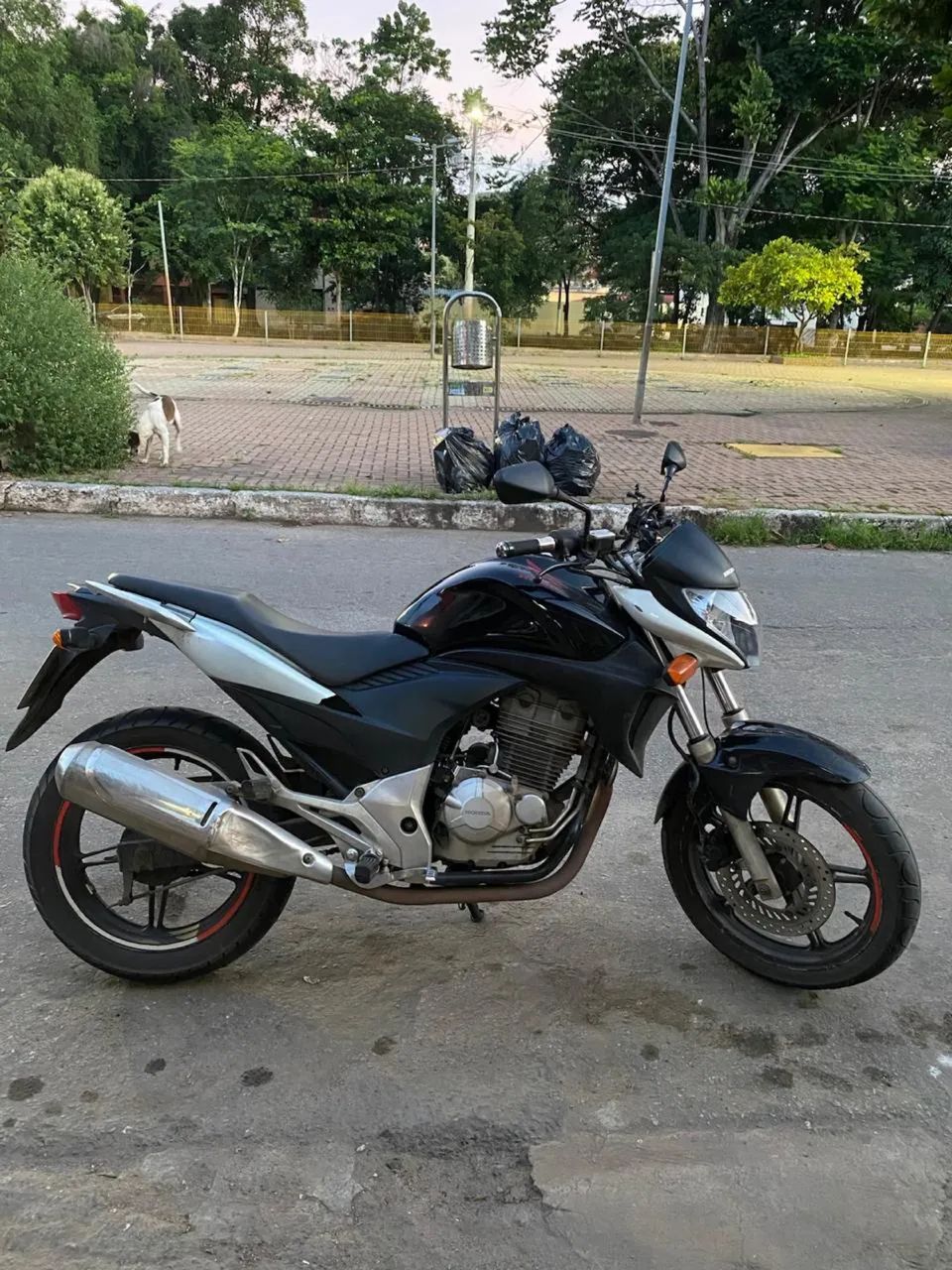 Cb 300r 2011 - Foto 3