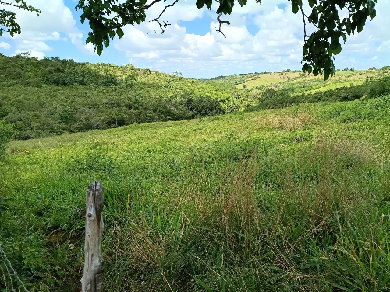 Terreno com 33 tarefas 
