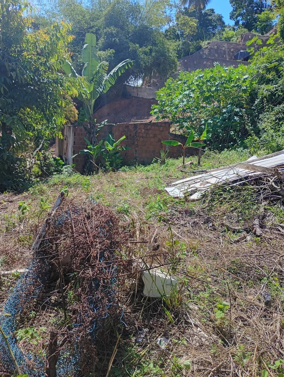 Terreno 14 por 14 