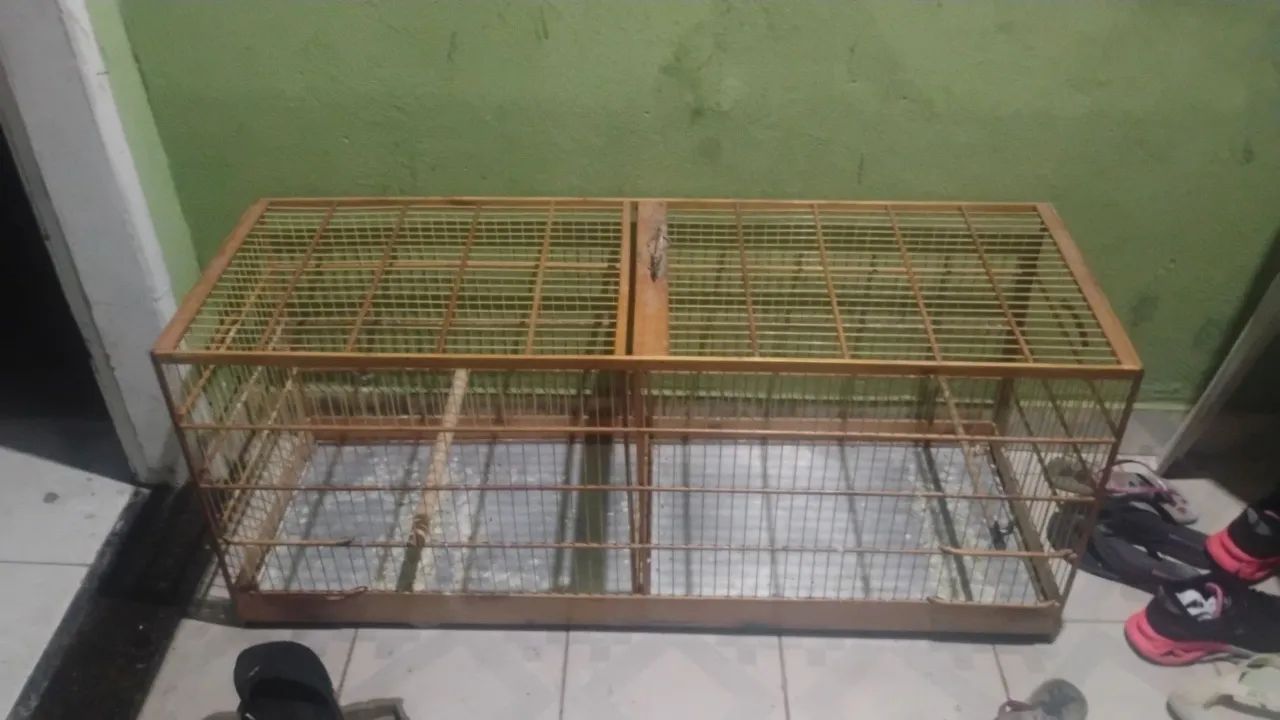 Gaiola - Foto 3