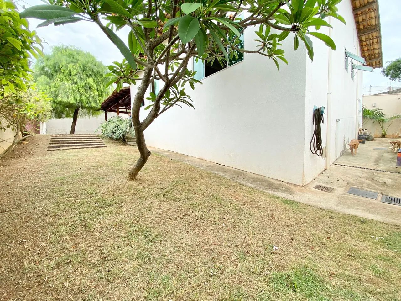 Casa térrea na Pampulha - Foto 3