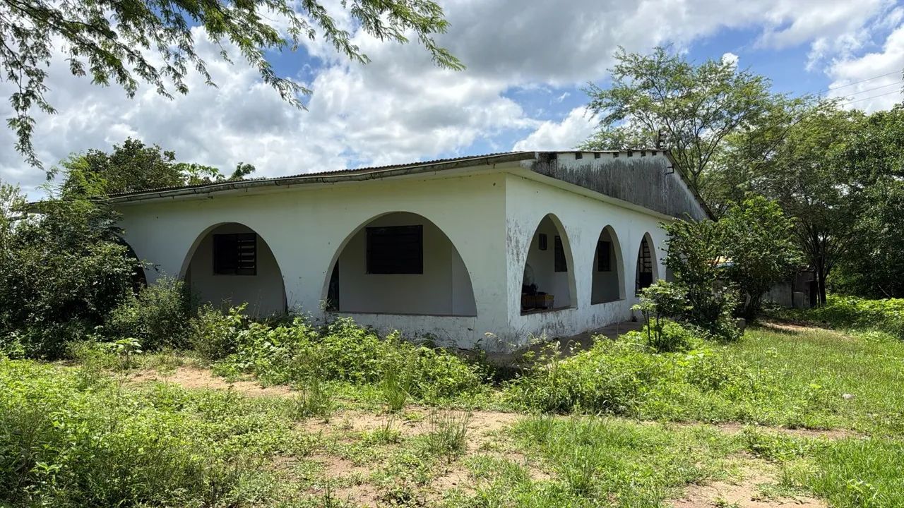  ÁREA 23HA NA BR232 VITÓRIA S.ANTAO.