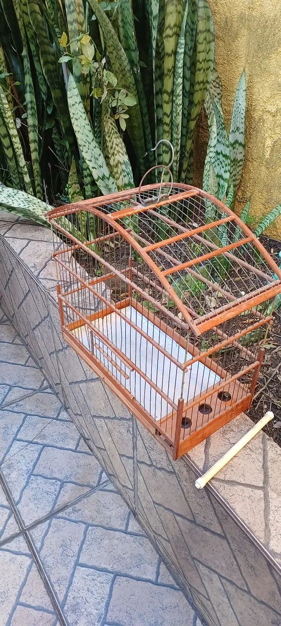 Gaiola de Madeira  - Foto 2