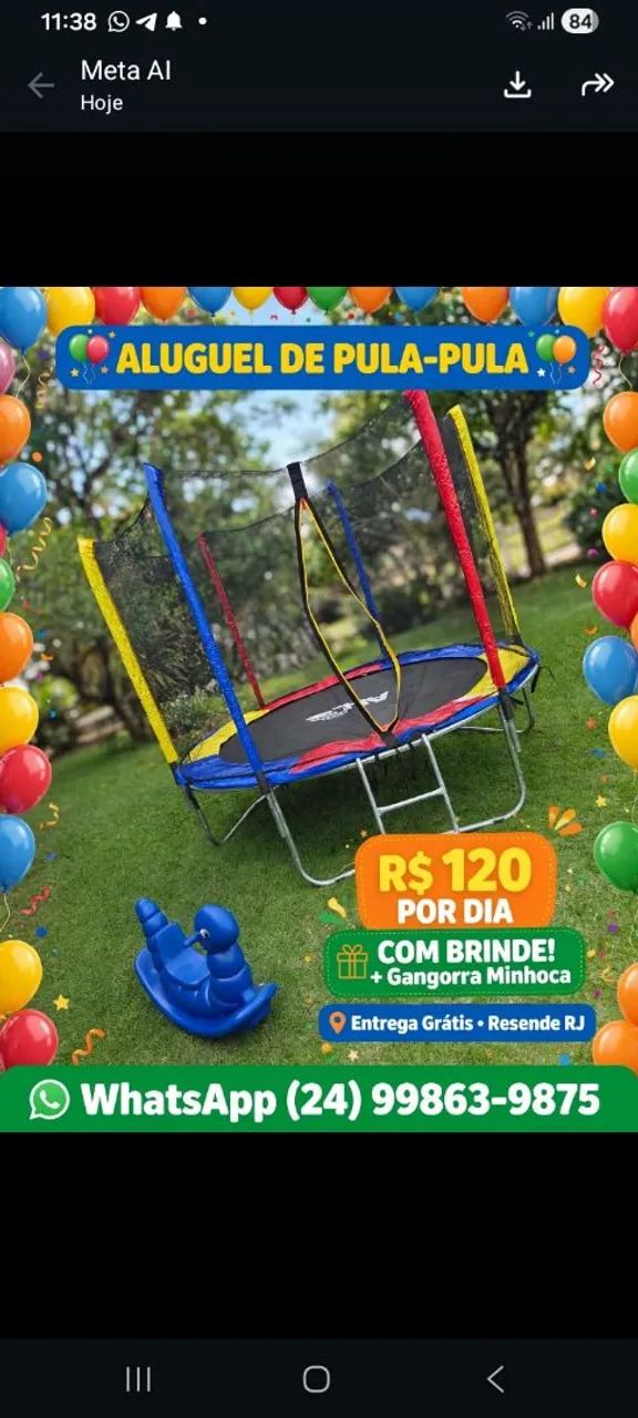 COMBO PULA PULA + MINHOCA + MESA DECORADA R$180 - ENTREGA GRÁTIS RESENDE - Foto 2