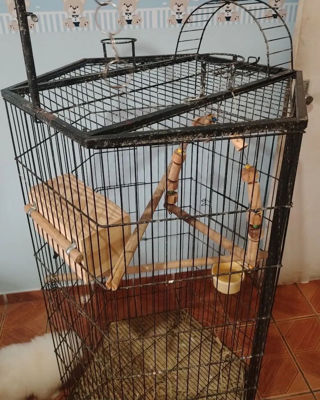 Viveiro pra aves - Foto 3