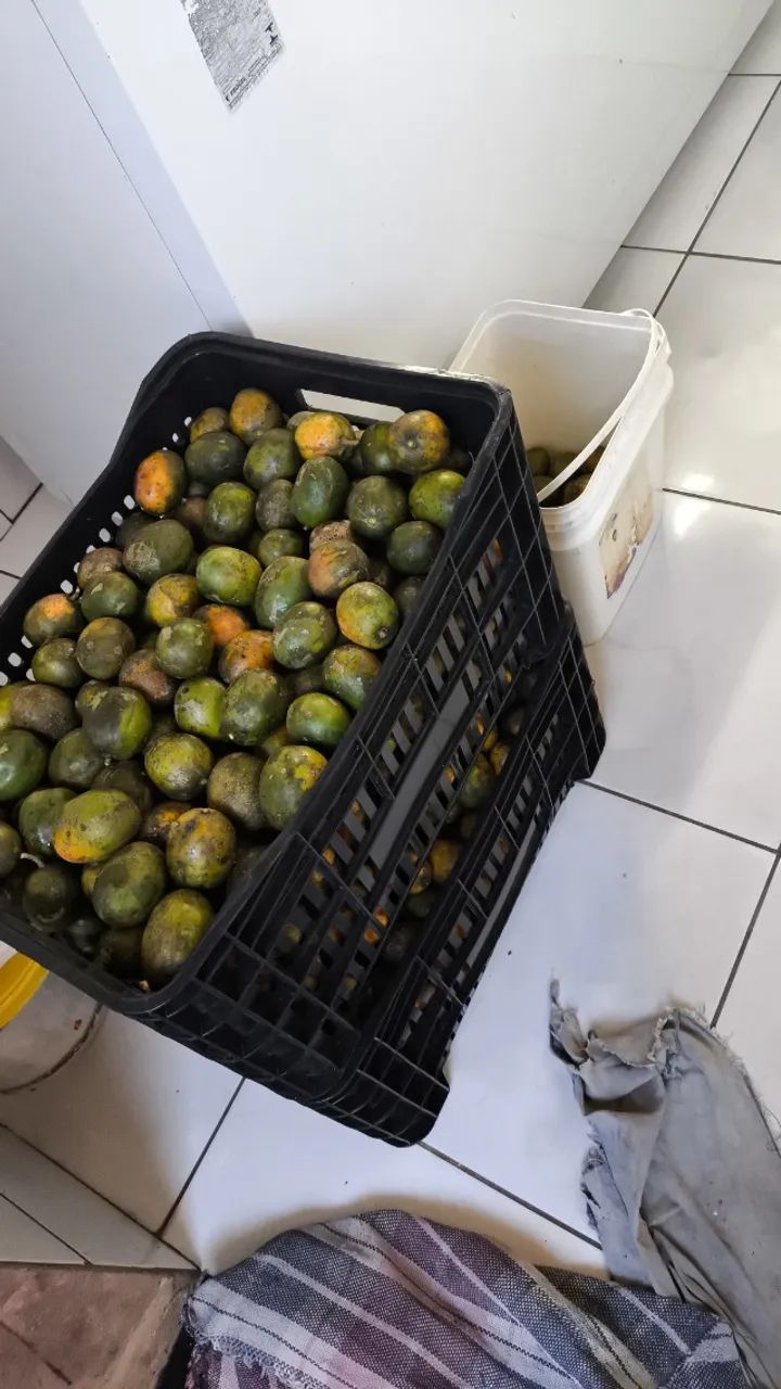Cajás à venda  - Foto 2