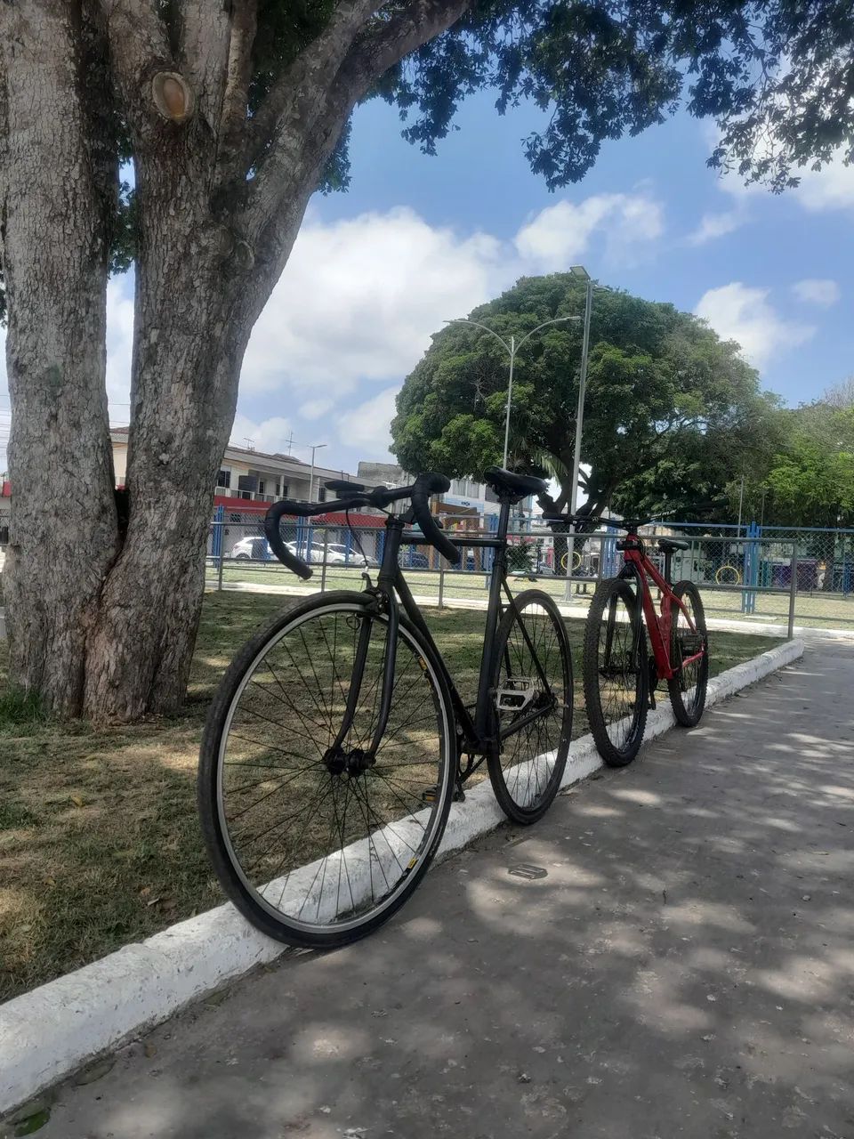 Bicicleta speed single 