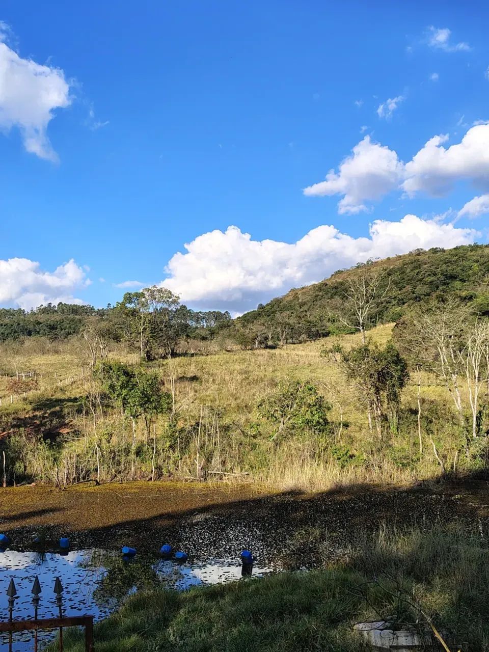 Sítio para gado ,lazer ,represa grande - Foto 2