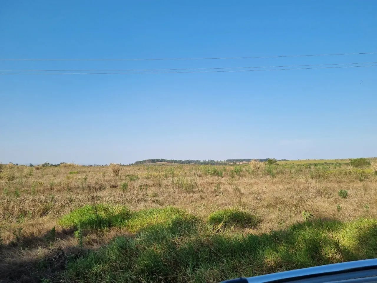 Fazenda  Santa Maria da Serra SP - Foto 2