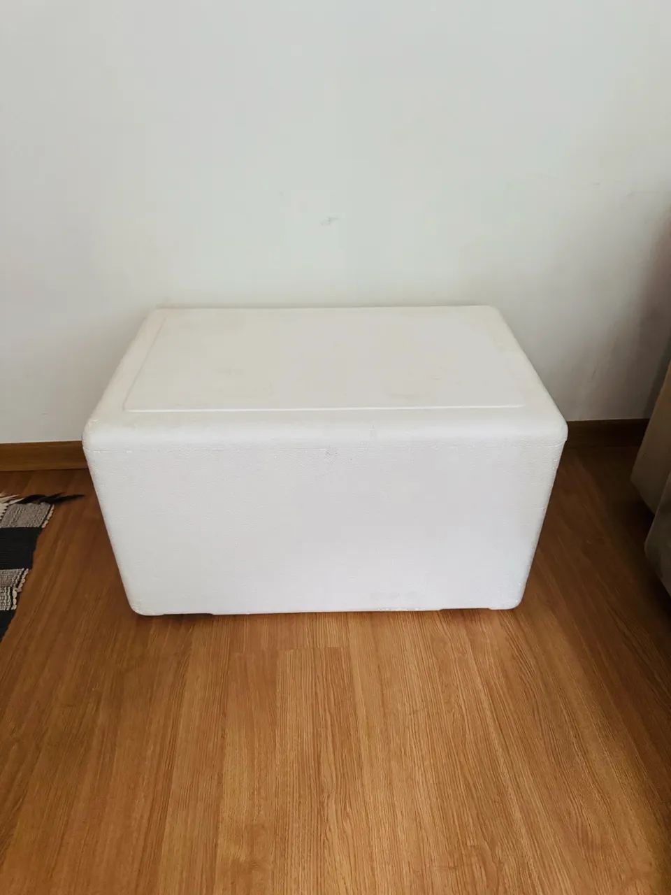 Caixa térmica 60L nova 