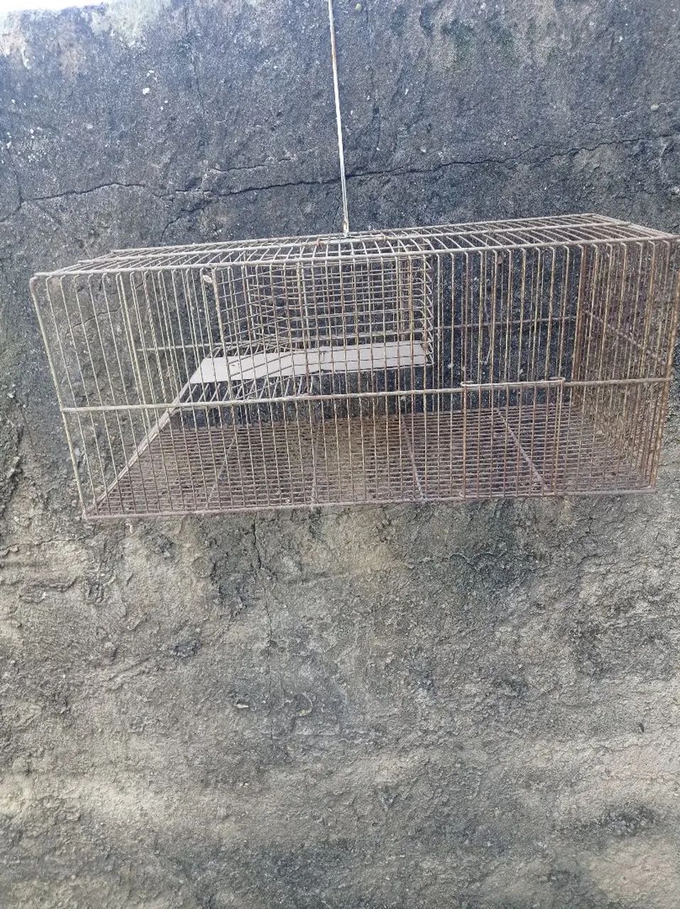 Gaiola para pegar ratos - Foto 2