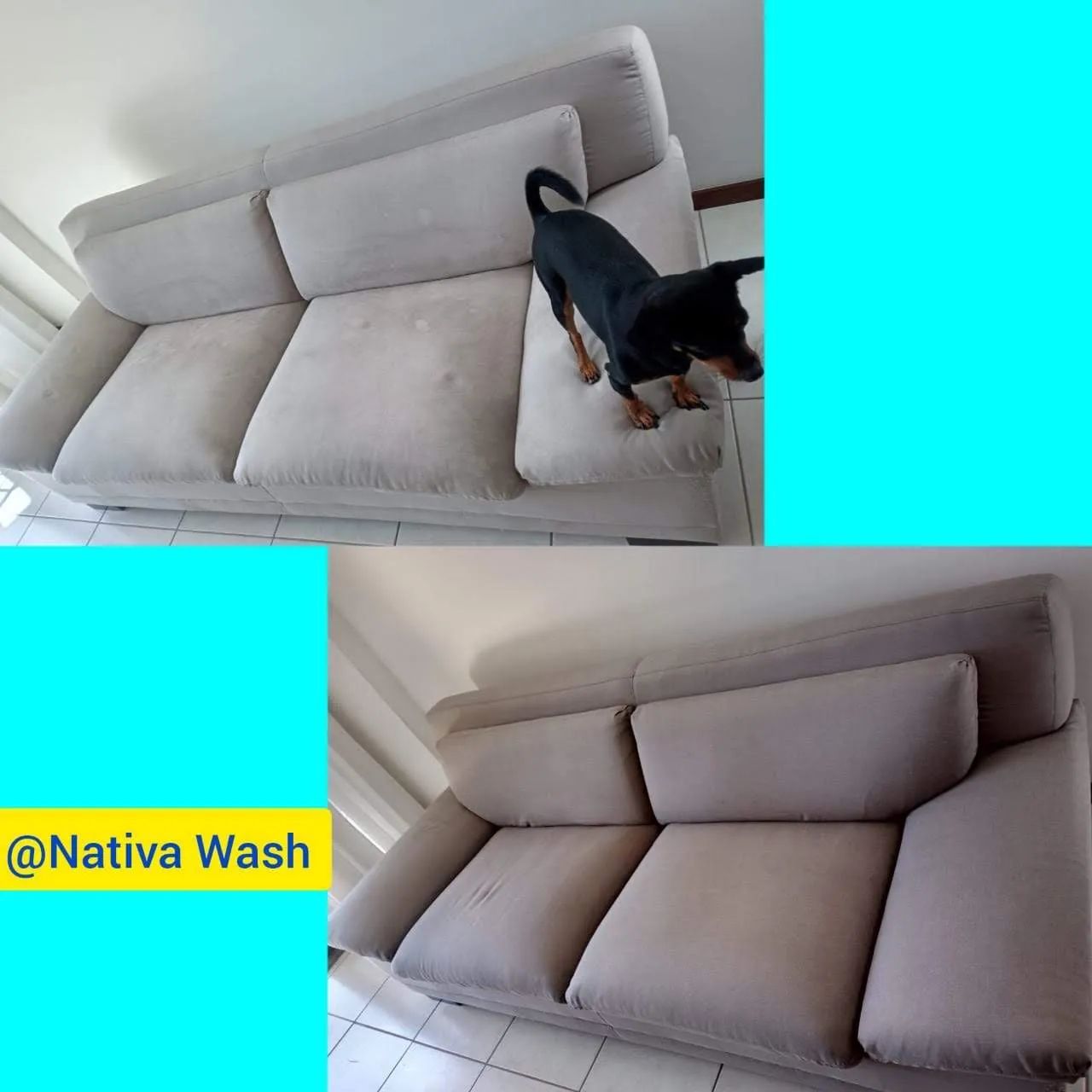 Lavagem a seco- Profissional Nativa wash - Foto 4