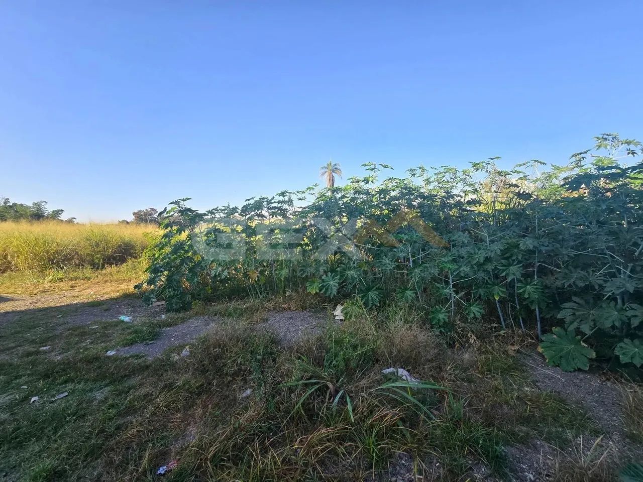 Lote à venda no bairro Ipiranga com 288 m².