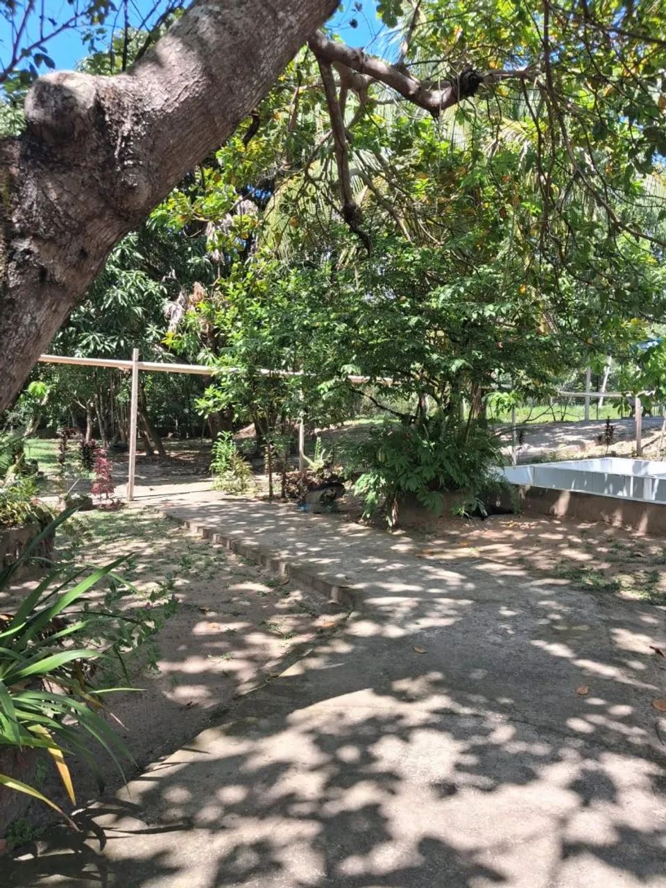 Vendo Sítio na Estiva - Foto 2