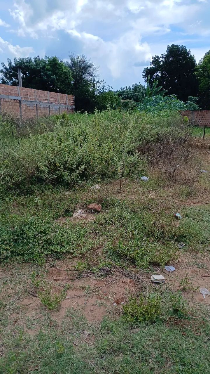 Terreno em Ribas do Rio Pardo - Foto 2