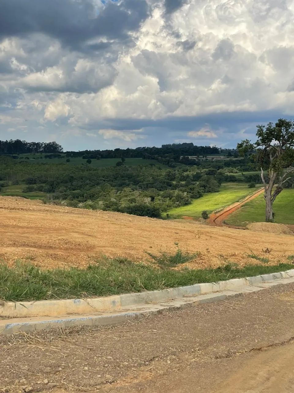 Lindo terreno para chácara  - Foto 3