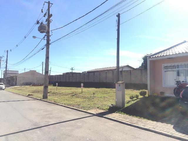 Lotes Faz Rio Grande - Entrada em 5 x R$ 1.200,00 - ótima localização - Foto 7