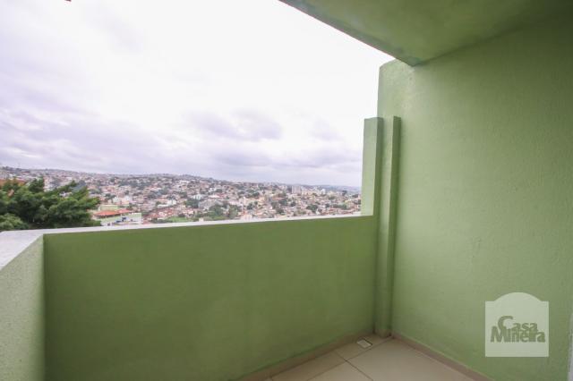 Apartamento à venda com 3 dormitórios em Havaí, Belo horizonte cod:239580 - Foto 20