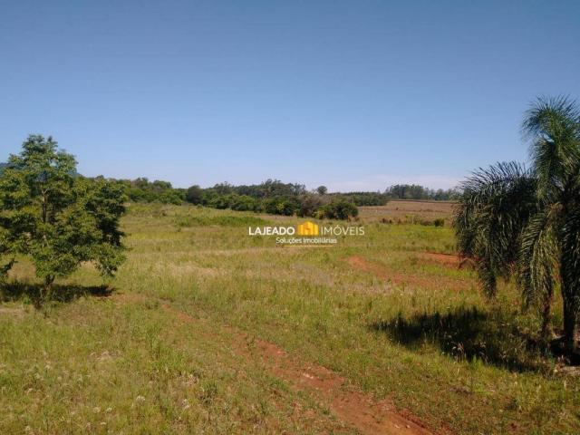 Sítio para alugar, 6500 m² por R$ 1.180,00/mês - Zona Rural - Colinas/RS - Foto 15