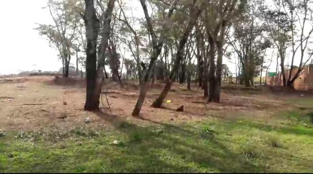 Terreno 500m2 - Foto 14